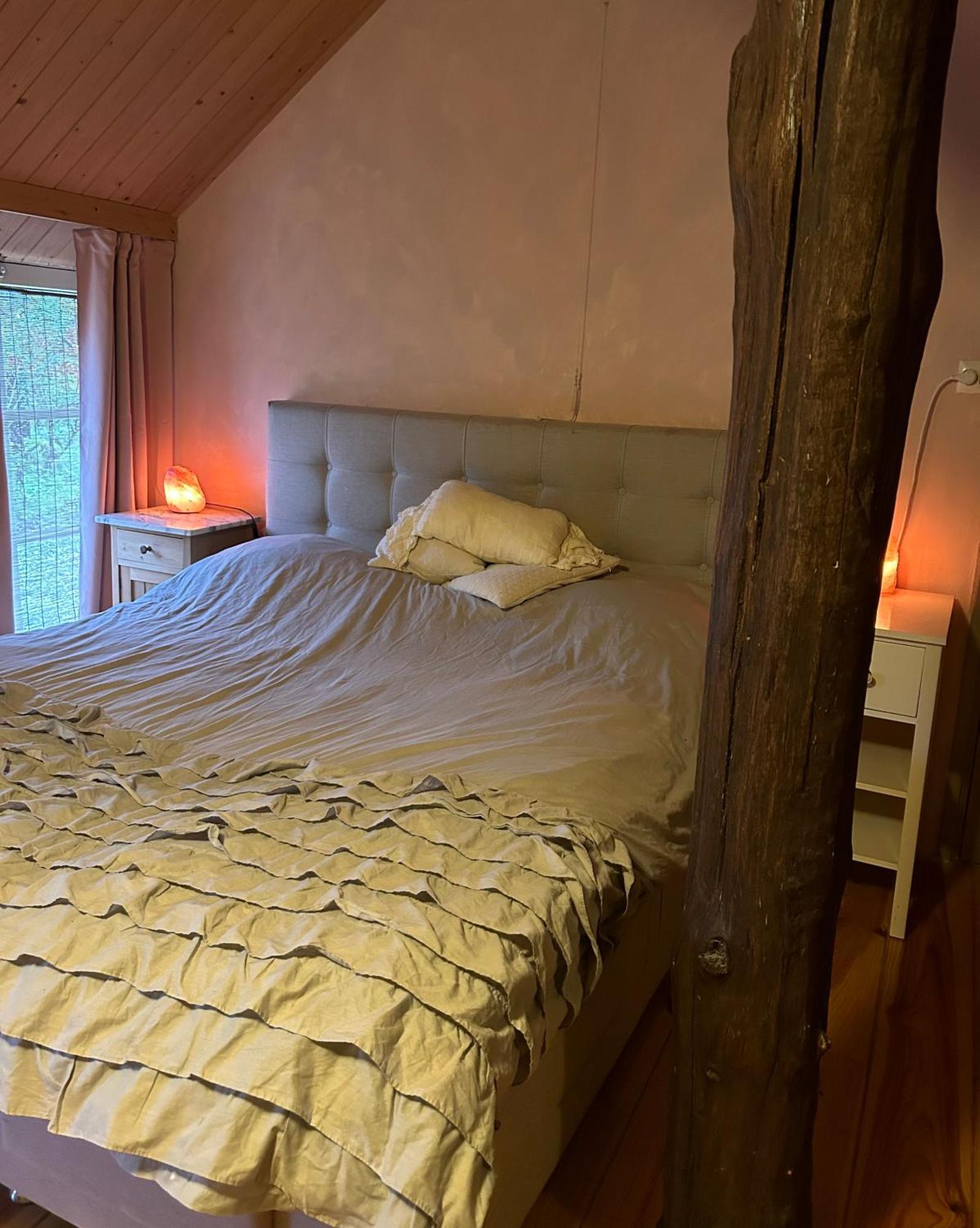 Landgoed De Bongel Bed & Breakfast De Wijk ภายนอก รูปภาพ